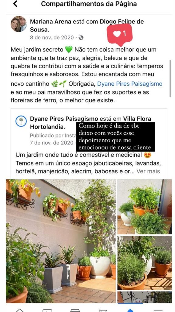 257815817_2901315756845514_3421674553015676454_n